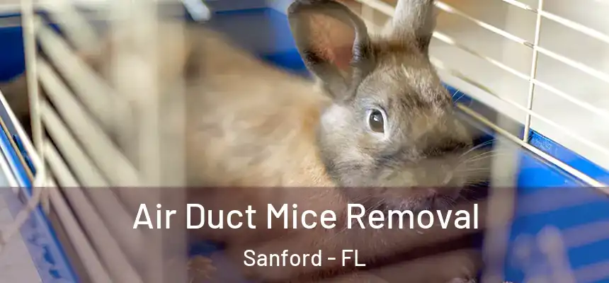  Air Duct Mice Removal Sanford - FL