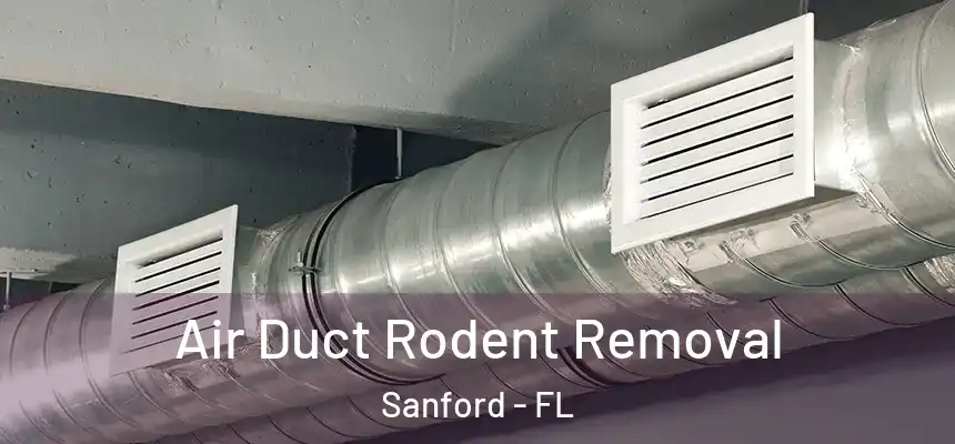  Air Duct Rodent Removal Sanford - FL