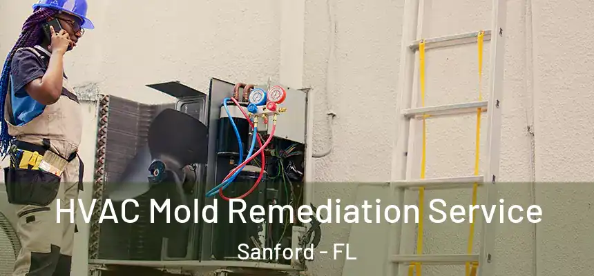 HVAC Mold Remediation Service Sanford - FL
