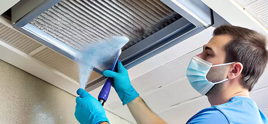 Proactive Dryer Vent & Auxiliary Duct Pollen Cleanup in Sanford, FL