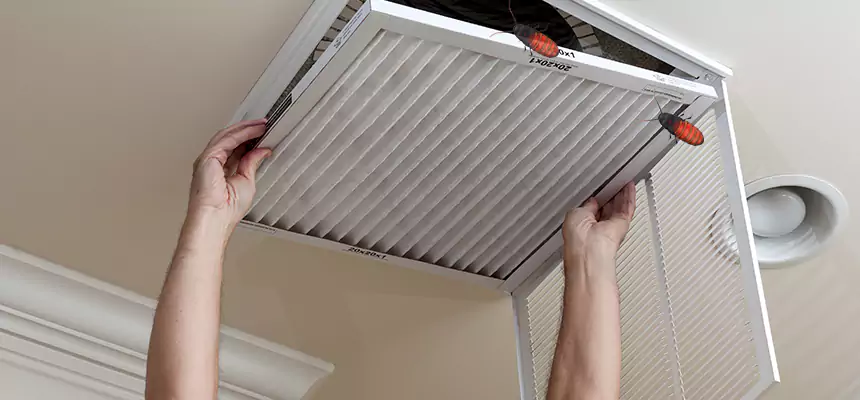 Our Insect Removal from Air Ducts Services in Sanford, FL