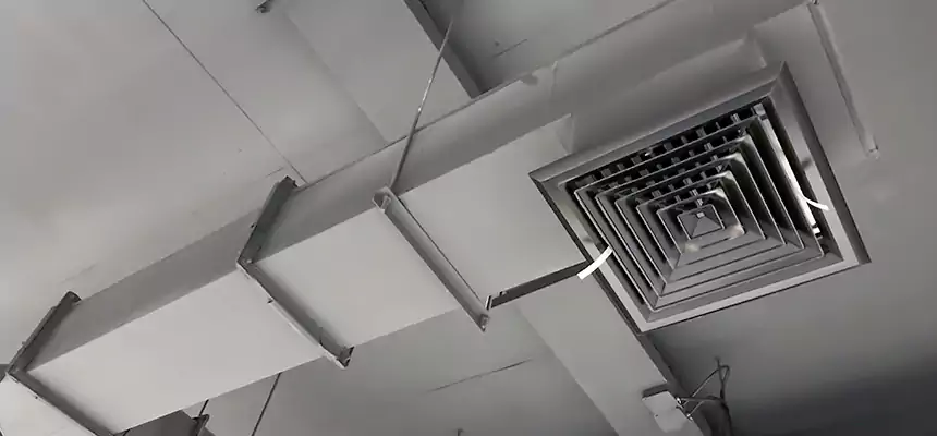 Our Rodent Droppings In Vents Services in Sanford, FL