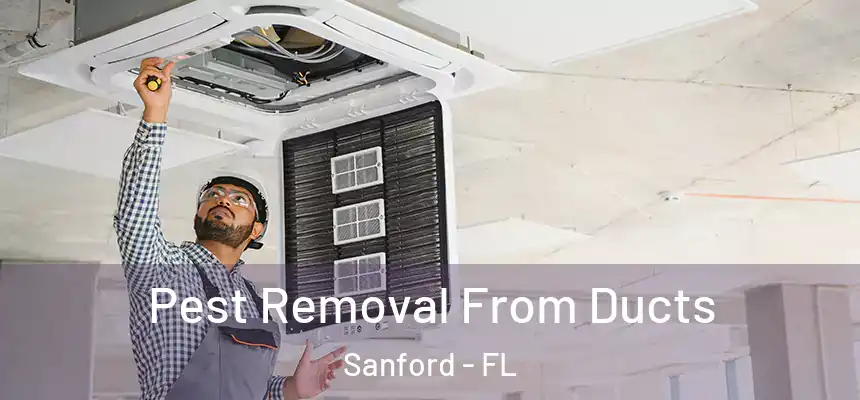  Pest Removal From Ducts Sanford - FL