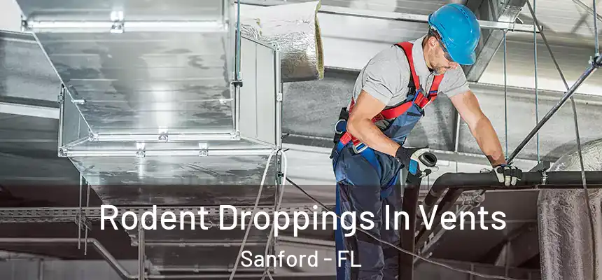  Rodent Droppings In Vents Sanford - FL