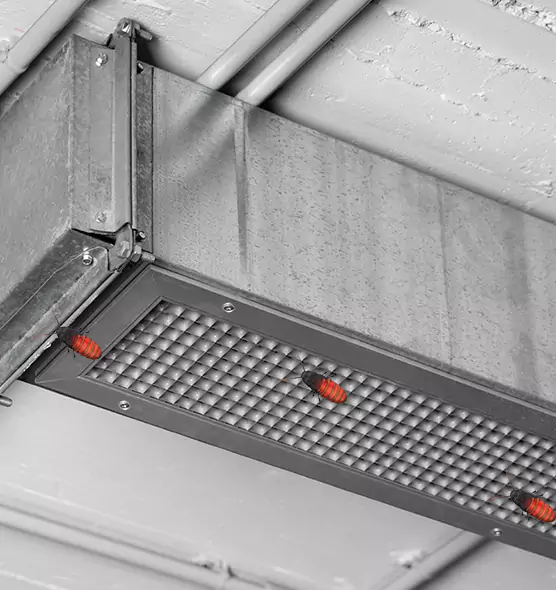 About Air Duct Cockroach Removal in Sanford, FL