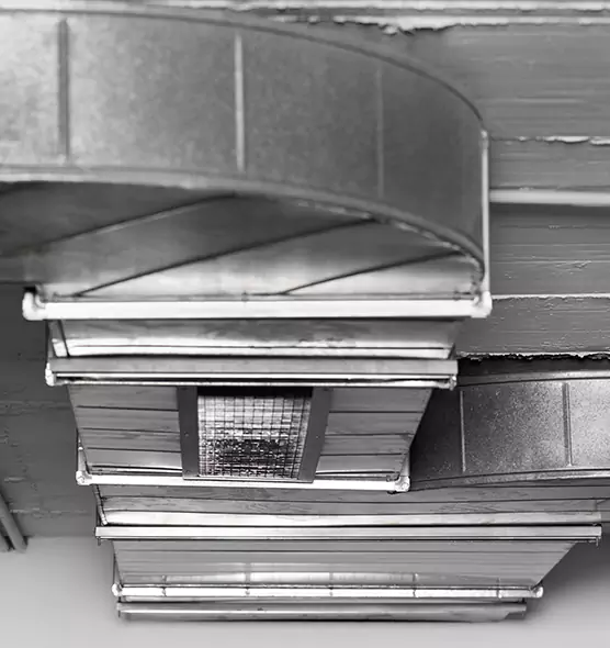 Professional Air Duct Pest Removal in Sanford, FL