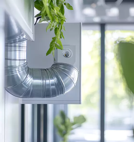 Professional Eco-Safe Dryer Vent Cleaning in Sanford, FL