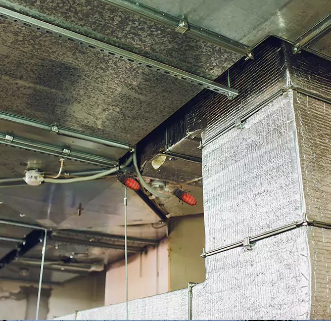 Why Homeowners & Businesses Trust Us in Sanford, FL?