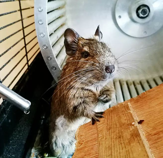 Why Homeowners & Businesses Trust Us Sanford, FL?