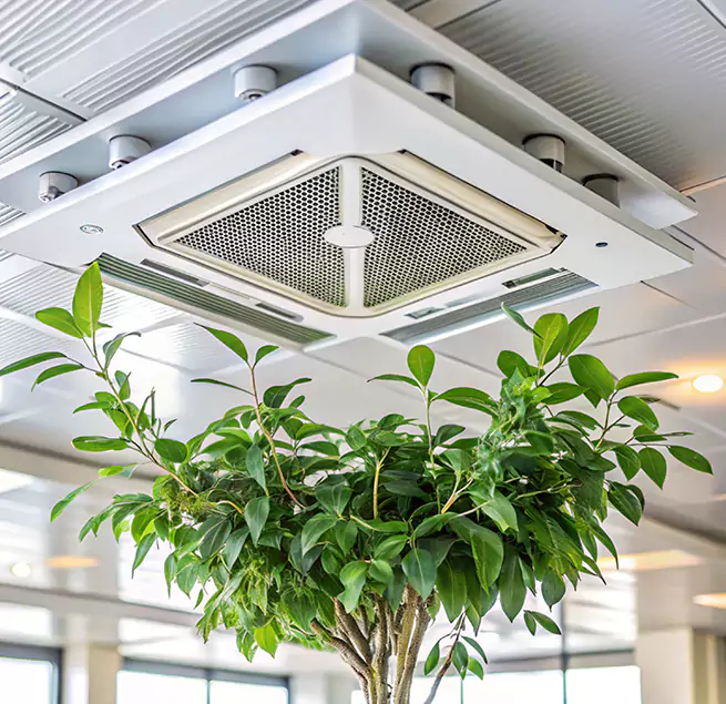 Why Homeowners & Businesses Trust Us in Sanford, FL?